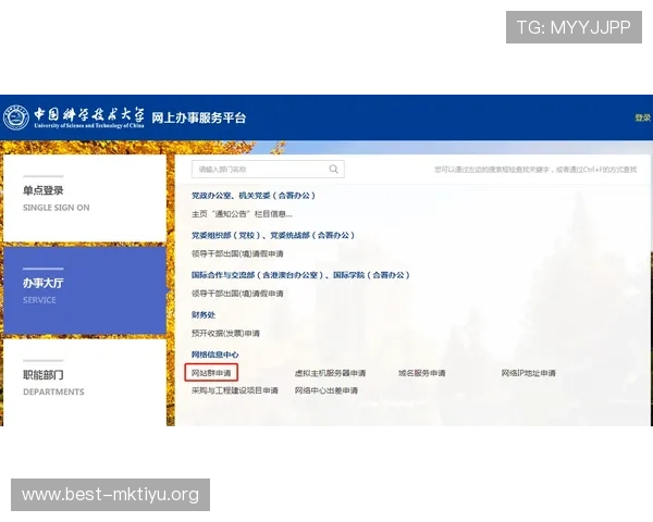 大满贯官网用户指南帮助新手快速了解平台使用方法与技巧